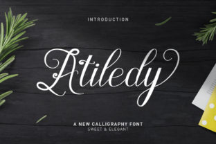 Atiledy Script Font for Web Design