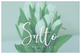 Salto Font: Fresh Script for Digital Design