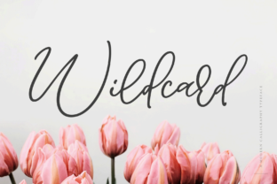 Wildcard Font for Business Branding