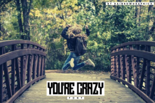 You re Crazy Font Review